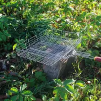 Решетка-гриль из нержавеющей стали 43×33 см с высокими бортами