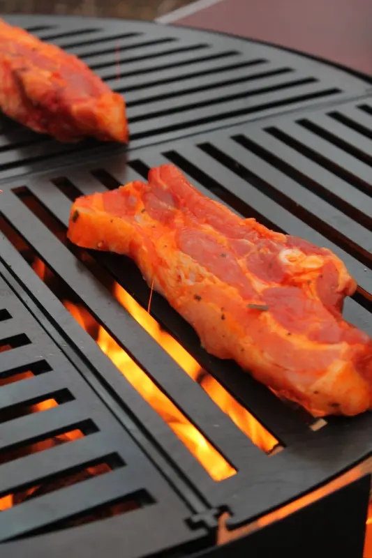 Rebernia Charcoal Grill with Rotating Grates, 70 cm