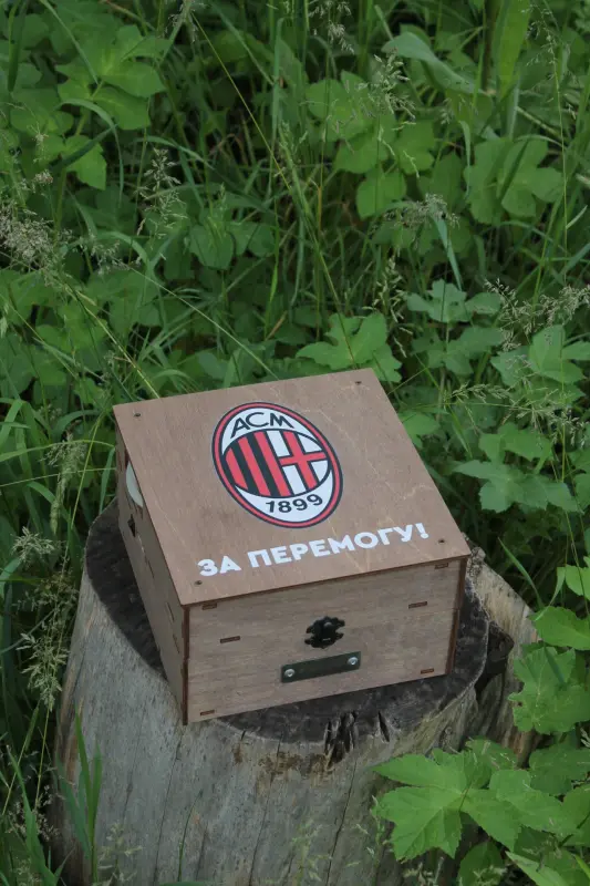 Музична опція для наливатора на 4–12 чарок