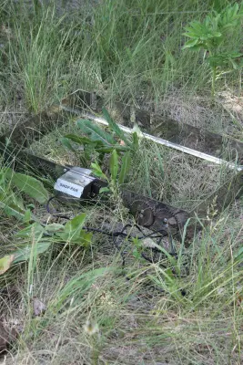 Мангальний набір 4 в 1 з автоматичним мангалом із нержавіючої сталі