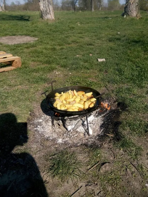 Harrow Disc Fire Pan Romashka 40 cm with Rim