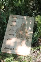 Дерев’яна обробна дошка з гравіюванням 30×50 см, дуб або ясен