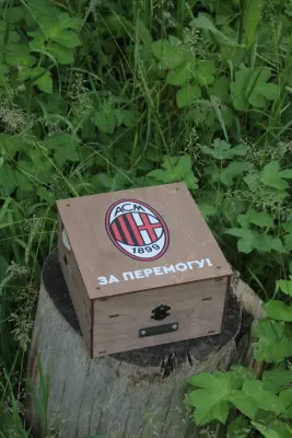 Музична опція для наливатора на 4–12 чарок