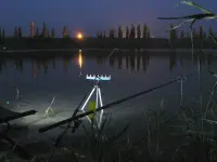 Portable LED Camping Floodlight with Adjustable Stand, Yellow