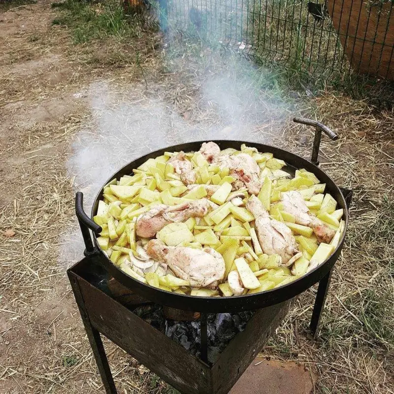 Harrow Disc Fire Pan Romashka 40 cm with Rim