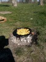 Harrow Disc Fire Pan Romashka 40 cm with Rim