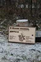 Подарункова коробка для розбірного мангала на 8 шампурів з індивідуальним написом